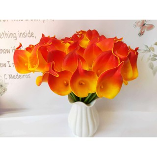Hoa Giả - Hoa Rum Calla Lily Nam Phi