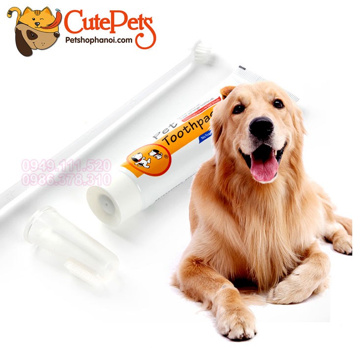 Kem đánh răng Thơm miệng Pet Toothpaste 85g dành cho chó - CutePets Phụ kiện thú cưng Pet shop Hà Nội