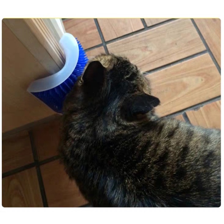 Bàn chải lông gắn tường - Lược Cố Định Cho Mèo Tự Chải Lông Chứa Cỏ Mèo