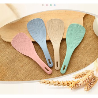 COMBO 2 MUÔI XỚI CƠM SIÊU ĐẸP