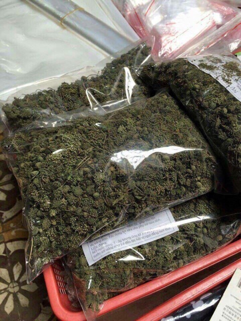 Nụ hoa tam thất BAO TỬ khô 100g