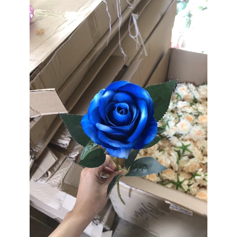 hoa 1 bông hồng nhung