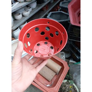 Chậu nhựa trồng lan phi 14cm x10cm