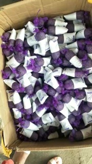 Combo 20 túi thơm mùi hoa lavender(sỉ 9k)