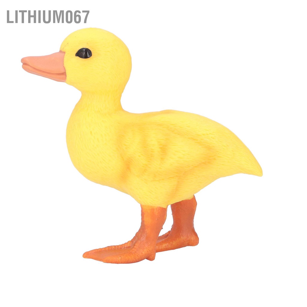 Lithium067 Đồ chơi Vịt nhỏ Dễ thương Màu sắc Sống động Giống như thật Vẻ ngoài Không phai Ximăng Nhựa Bền Vàng Trang trí