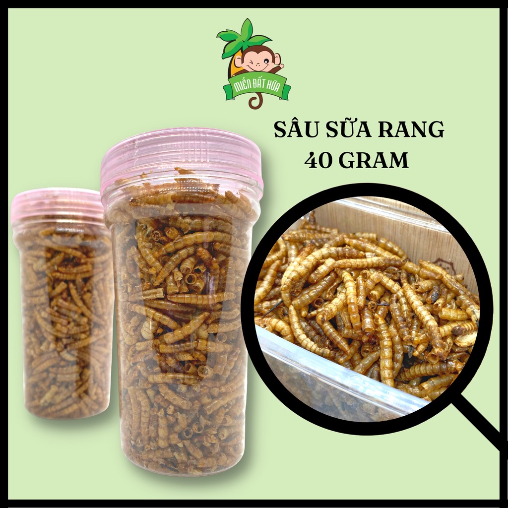 Thức ăn cho Hamster - Các loại sâu rang cho hamster, nhím, sóc bay