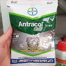 Trị nấm bệnh cho cây trồng Antracol 70wp - gói 100g