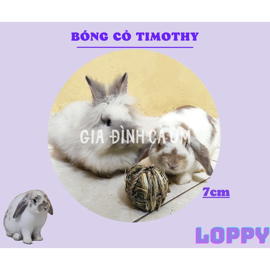 Đồ chơi rơm/ cỏ timothy dành cho thỏ/chuột/sóc/chinchilla