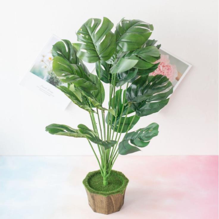Cây Lá Rùa Lớn 18 Lá (Nhựa PVC) Cao Cấp, dùng Decor chụp hình, trang trí nhà cửa, văn phòng loại lớn cao 54cm