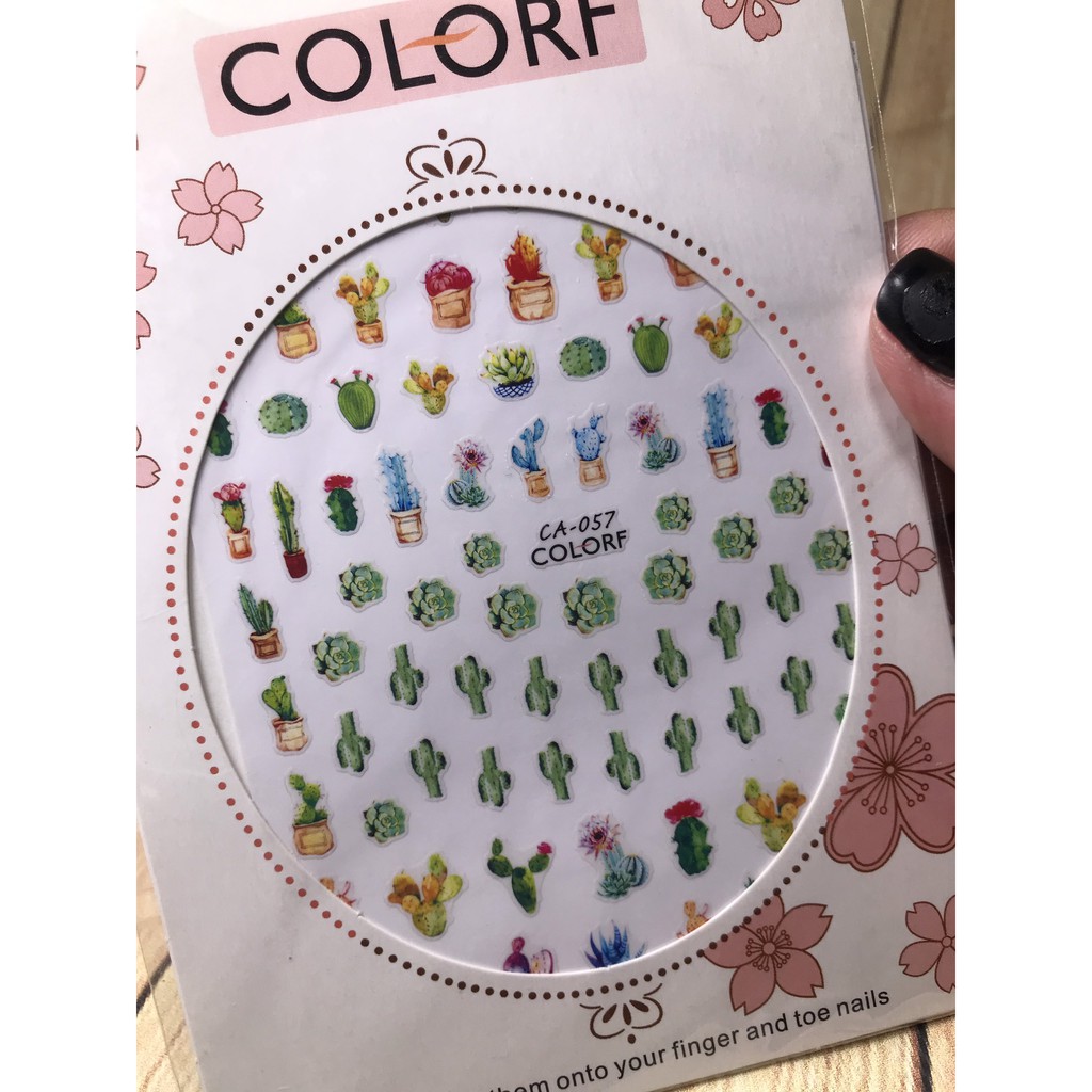 Hìnhdán móng mã số 66