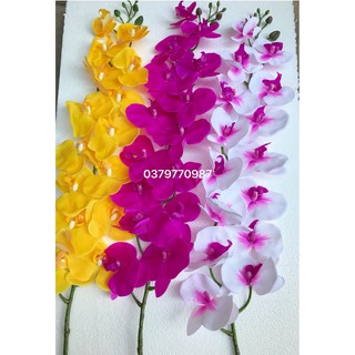 Hoa giả - Lan hồ điệp 14 bông cao su