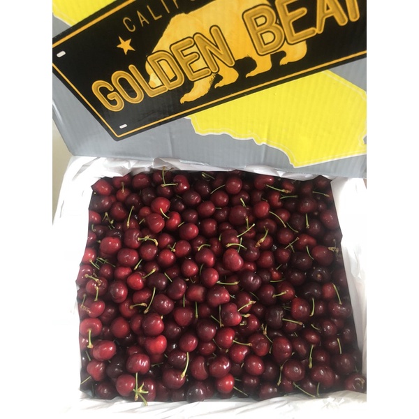 [Giao nhanh trong HCM] Cherry size 9