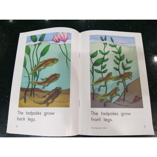[HOT SALE]Bộ Nhập - Razkids Level C (98C) - Razkid (Quét mã QR lấy file Mp3)