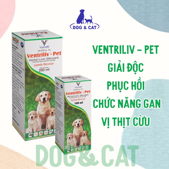 𝐁𝐎̂̉ 𝐆𝐀𝐍 𝐂𝐇𝐎́ 𝐌𝐄̀𝐎 𝐕𝐄𝐍𝐓𝐑𝐈𝐋𝐈𝐕 𝐏𝐄𝐓 - vị Thit Cừu