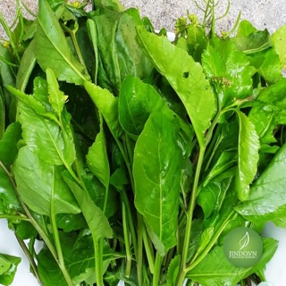 1 Kg Cây cải trời khô hỗ trợ bướu cổ