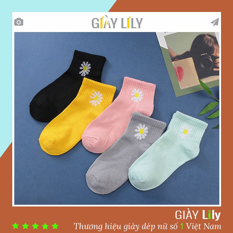 Combo 10 đôi tất hoa cúc 💓 tất cổ ngắn in hoa cúc | Vớ hoa cúc | BigBuy360 - bigbuy360.vn