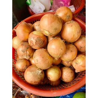 Hành tây ngon củ tuyển 0.5kg
