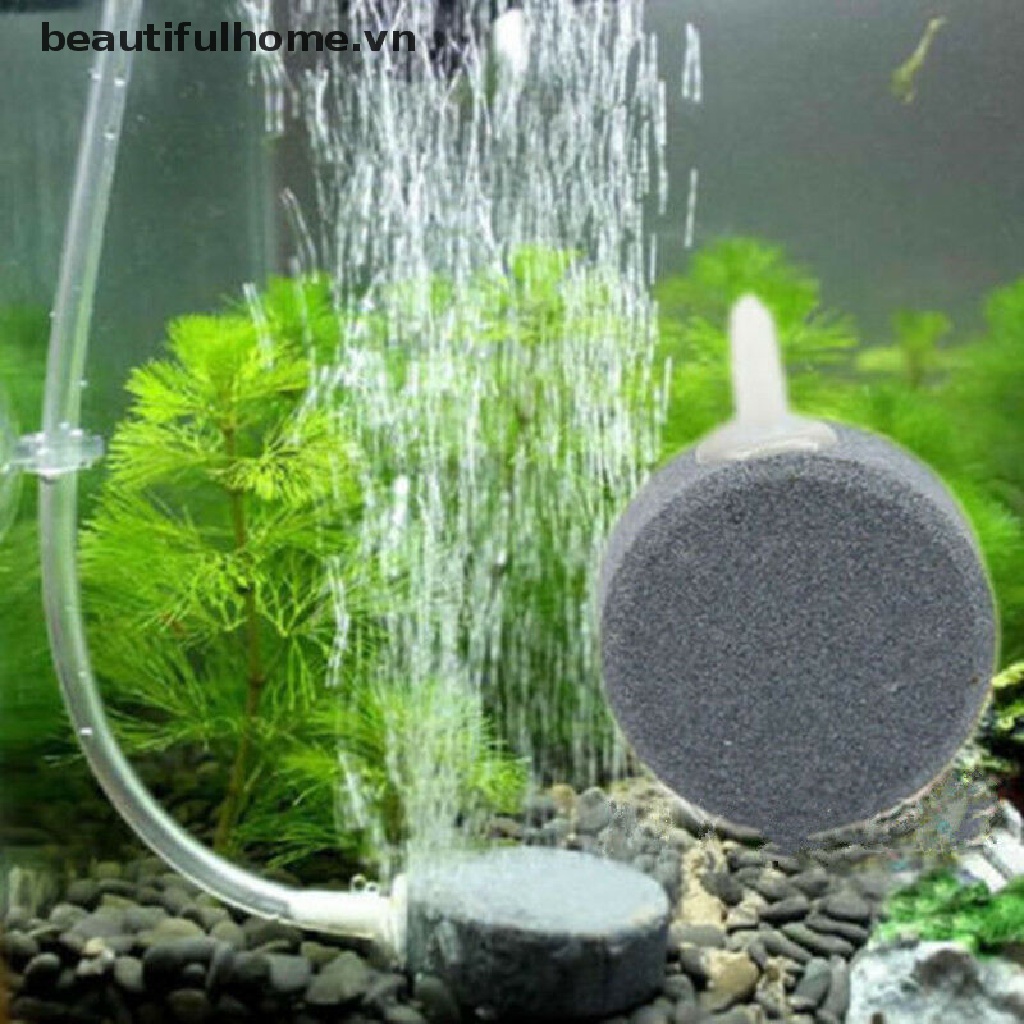Đá Sủi Bọt Khí Oxy Cho Bể Cá