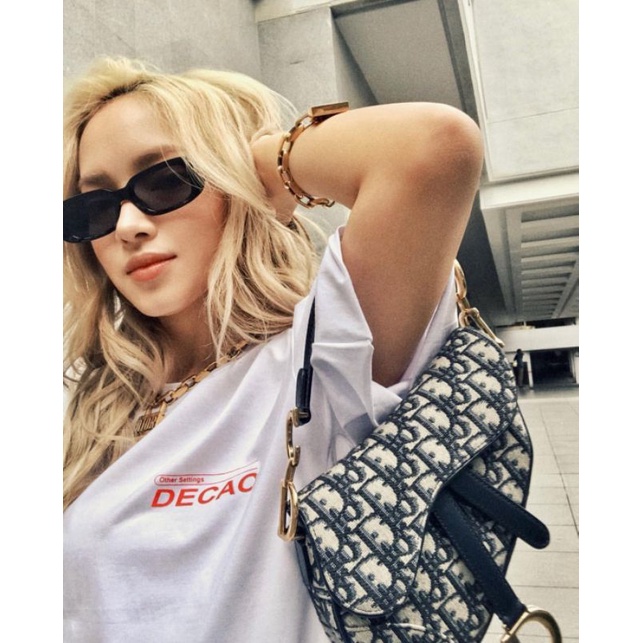 Túi xách nữ Dior Yên ngựa