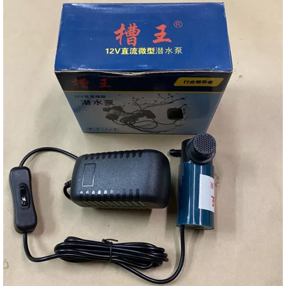 Bơm nước mini 12V Caowang - Hàng chính hãng