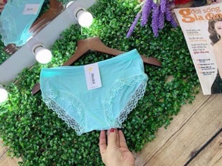 Combo 10 quần chip cotton phối ren
