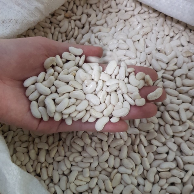 Đậu trắng Đà Lạt 1kg