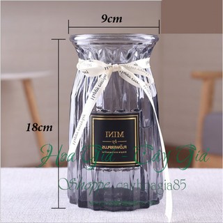 Bình Cắm Hoa Thủy Tinh Múi Khế