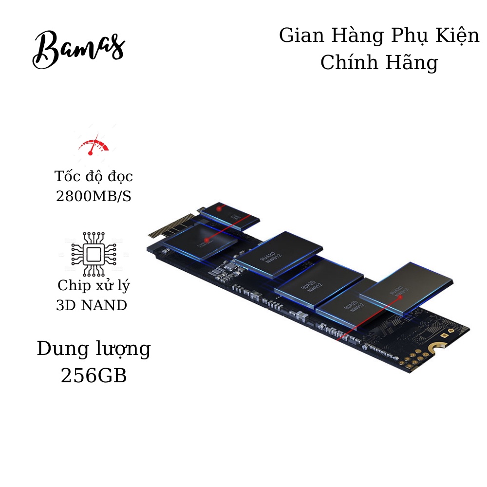 Ổ Cứng SSD MOVESPPED NVME M.2@PCle3.0 x 4 Dung Lượng 256GB - Sử Dụng Chip 3D NAND Cao Cấp - Tốc Độ Đọc 2800MB/S