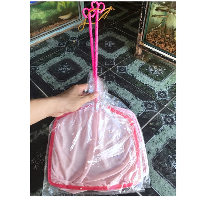 VỢT HỒ CÁ NON BỘ