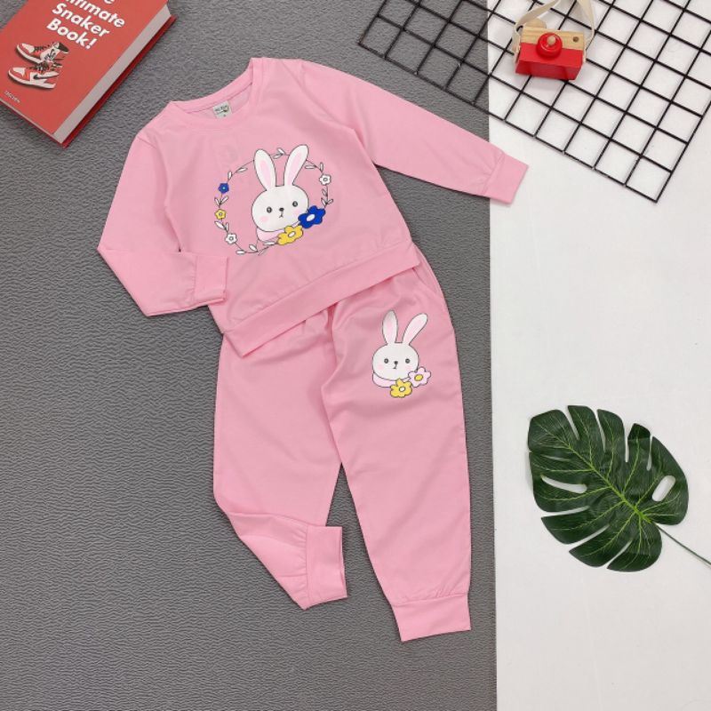 Bộ ngủ tay dài mùa mưa thu đông thun cotton 4 chiều in thỏ dễ thương 8-24kg
