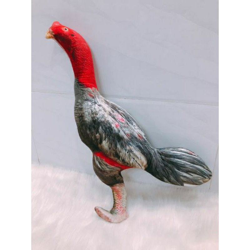 Thú bông 3D - GÀ ĐÁ, GÀ TẬP LỰC 🐓
