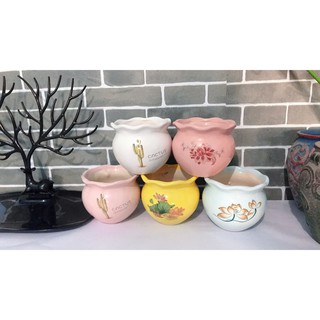 Chậu sứ miệng bèo
