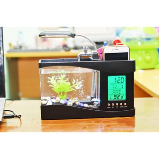 Bể Cá Mini Để Bàn Phong Thủy