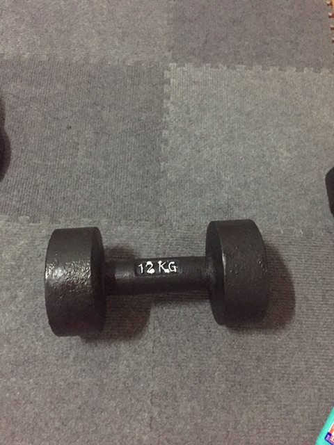 Bộ 1 tạ tay 12kg