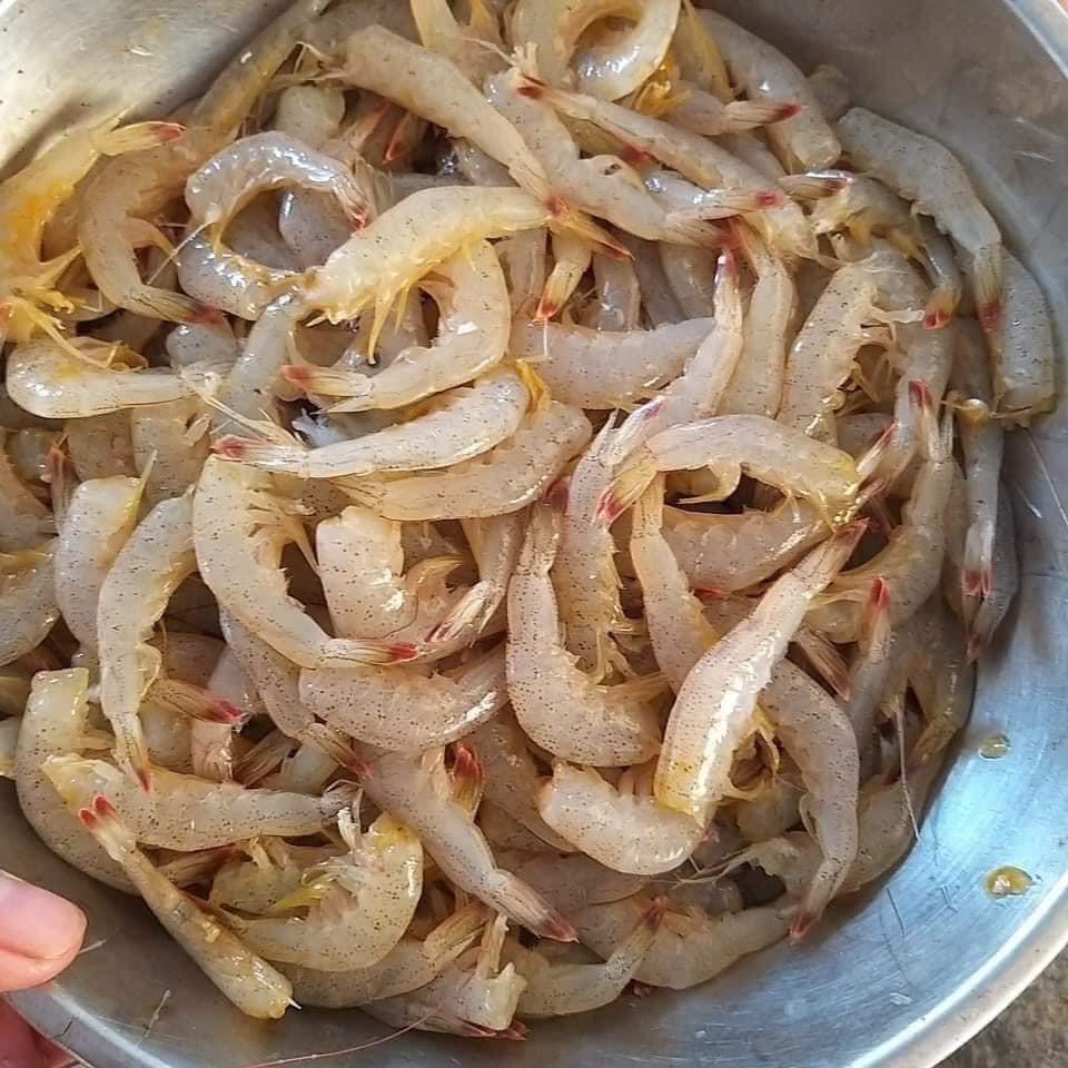 TÔM VÀNG BIỂN LÀM SẠCH BỎ ĐẦU