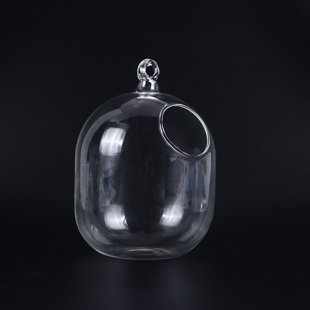 Transparent Hanging Handmade Fishbowl Vases
