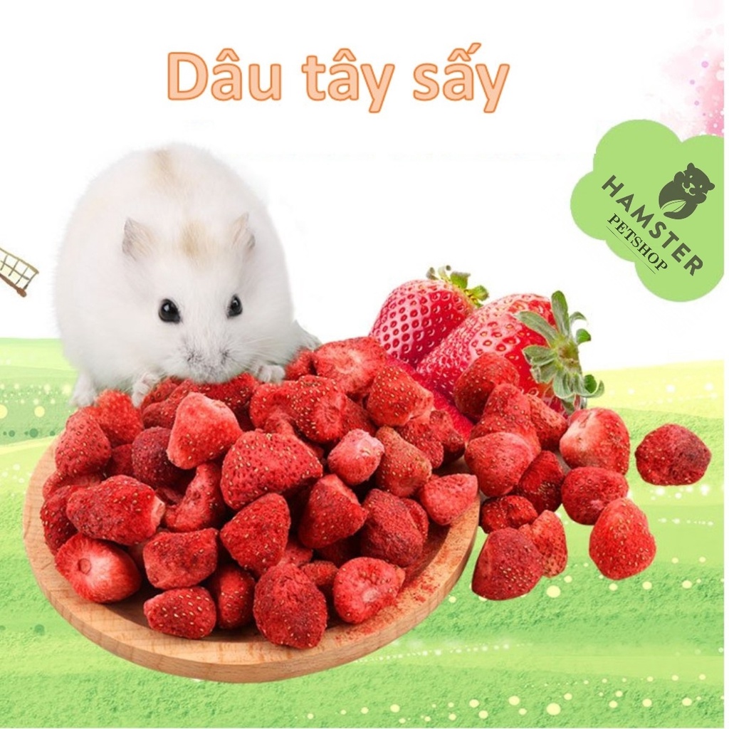 Dâu sấy dẻo cho Hamster, sóc , nhím, thỏ , bọ 25g