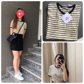 Áo phông zara auth