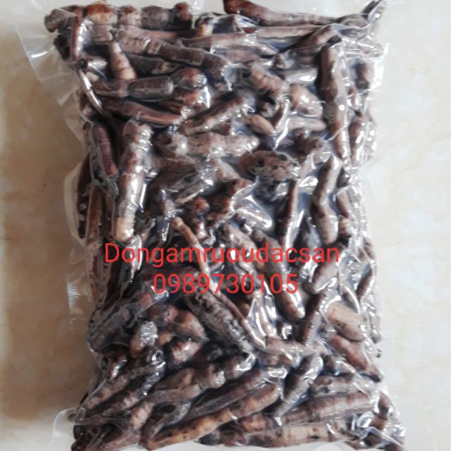 Sâm cau đen tiên mao khô rừng Tây Bắc 1kg