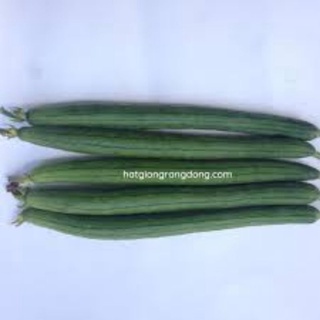 Hạt giống mướp hương trái dài 388