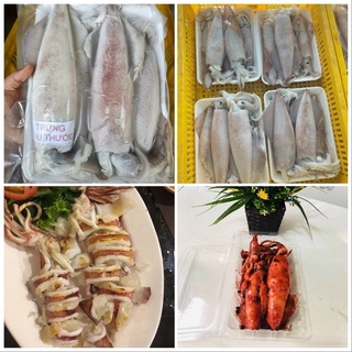 Mực Ống Trứng Bầu Thước Size To Loại 1 | Giao Siêu Tốc HCM