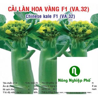 5gr hạt giống rau cải làn hoa vàng PHUNONG