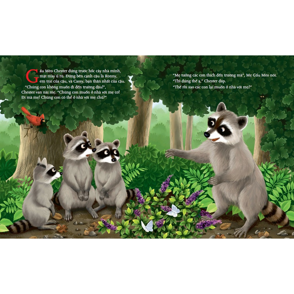 Sách Combo 6 cuốn picture book song ngữ Gấu mèo Chester TB