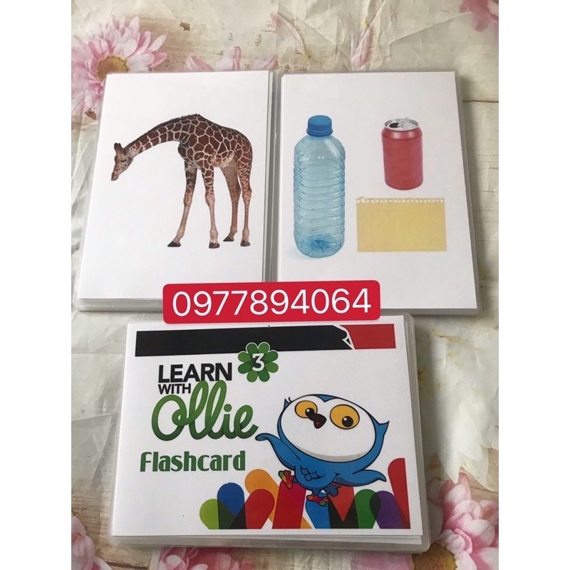 Flashcards  Learn with Ollie Level 1-2-3 thiết kế 2 mặt ép plastics bền đẹp