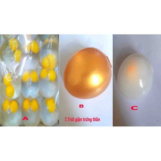 trứng gà trút giận