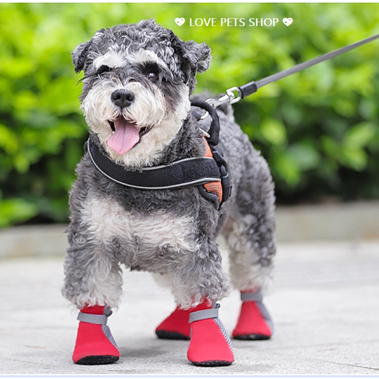 GIÀY CHO CHÓ MÈO ĐẾ MỀM, GIÀY THÚ CƯNG (SET: 4 CHIẾC) &quot;MẪU MỚI&quot; - LOVE PETS SHOP