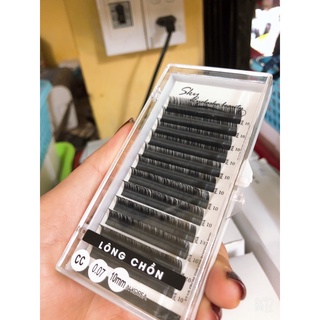 mi lông chồn độ cong CC