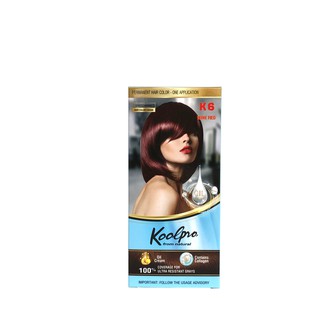 [100% PHỦ BẠC]Thuốc nhuộm tóc phủ bạc KoolPro