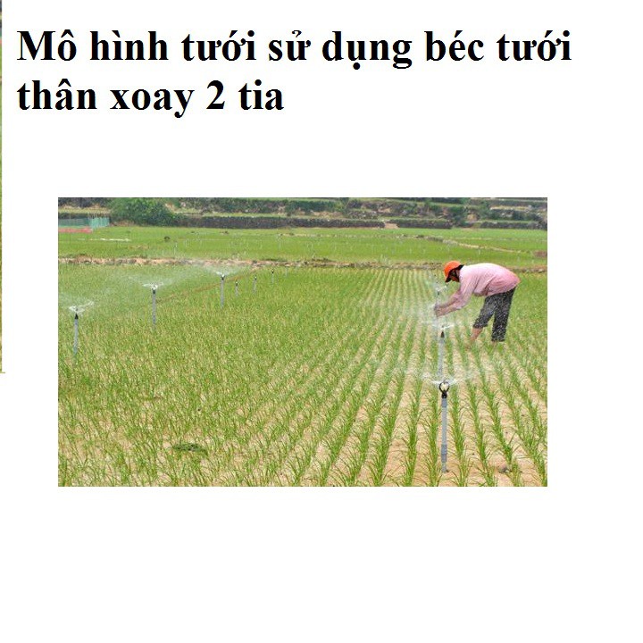 Bộ 100 béc tưới cây BB 926 ren ngoài 21 mm  tặng 100 nối 21 ren trong 21 mm béc tưới phun mưa xoay 360 độ