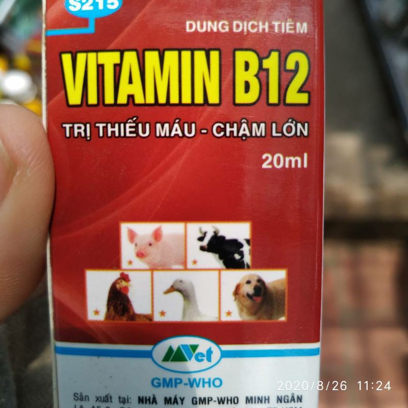 Vitamin B12 chống sốc, giải độc cho cây cảnh